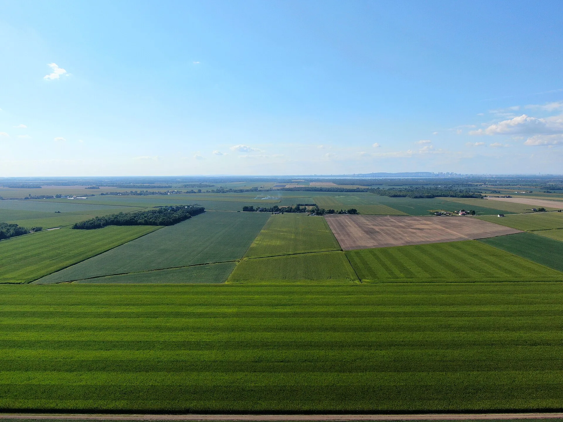 Vista aérea de uma extensa área agrícola dividida em grandes talhões