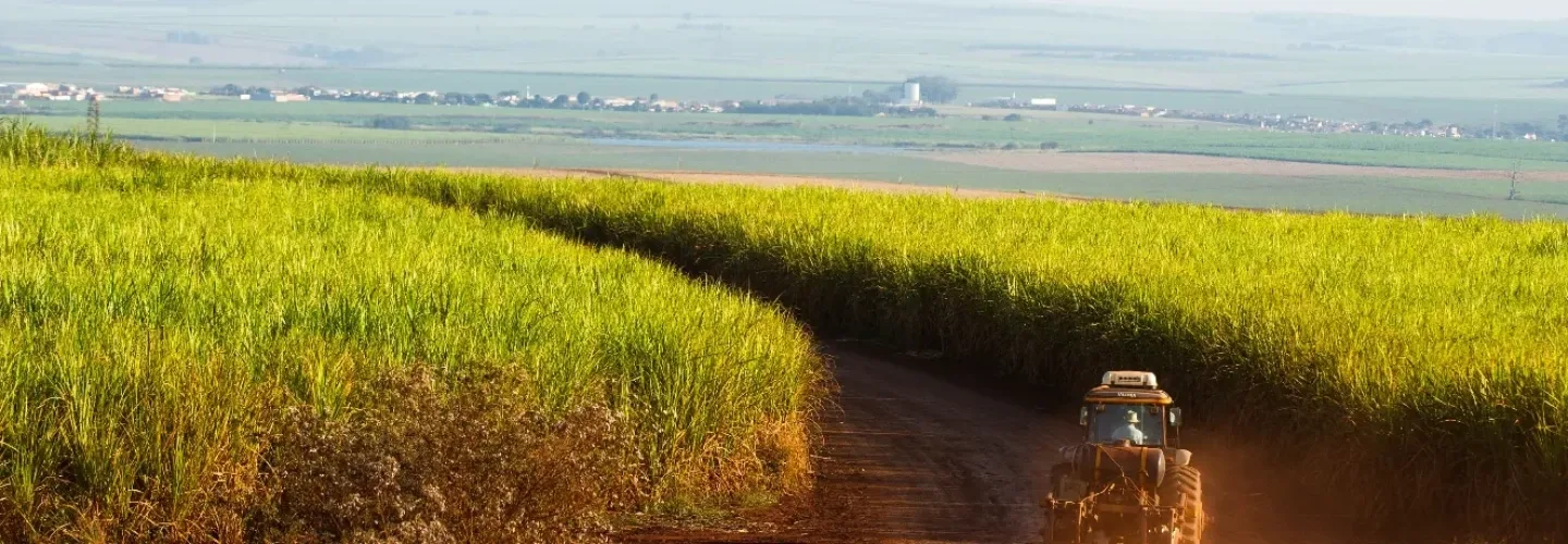 Máquina agrícola em área de cultivo de cana-de-açúcar da Raízen