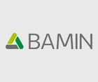 Bamin